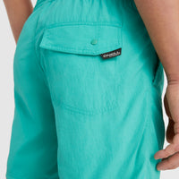 Vert 16'' Badehose | Sea Green