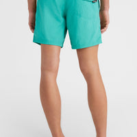 Vert 16'' Badehose | Sea Green