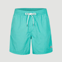 Vert 16'' Badehose | Sea Green