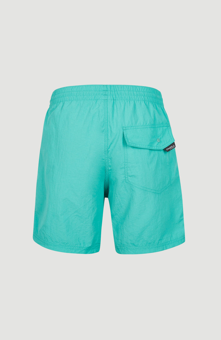 Vert 16'' Badehose | Sea Green