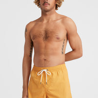 Vert 16'' Badehose | Nugget