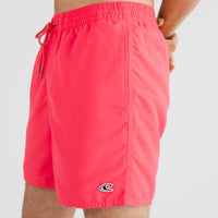 Vert 16'' Badehose | Divan