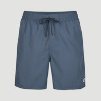 Vert 16'' Badehose | Dusty Blue -A