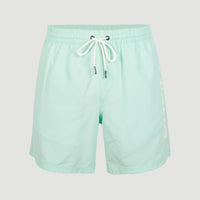 Cali 16'' Badehose | Beach Glass