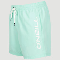 Cali 16'' Badehose | Beach Glass