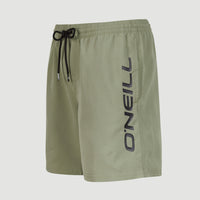 Cali 16'' Badehose | Deep Lichen Green