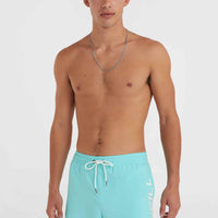 Cali 16'' Badehose | Aqua Spalsh