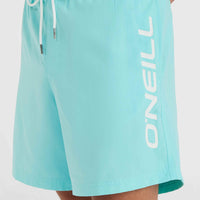 Cali 16'' Badehose | Aqua Spalsh
