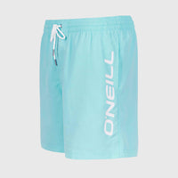 Cali 16'' Badehose | Aqua Spalsh