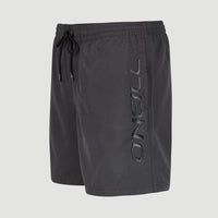 Cali 16'' Badehose | Asphalt