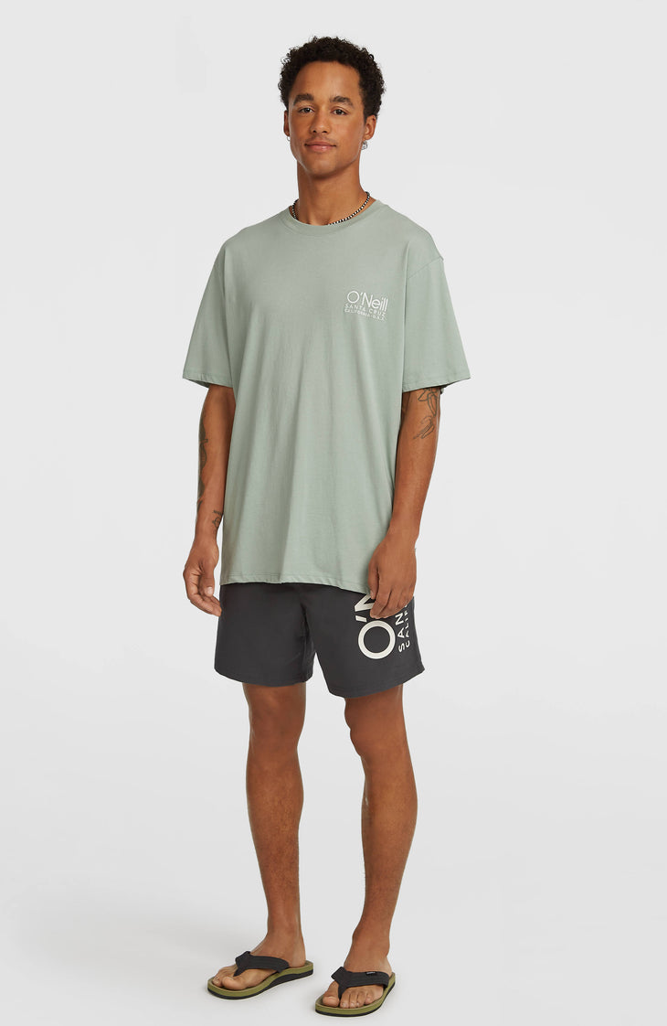 Original Cali 16'' Badehose | Asphalt