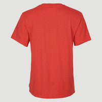 Essentials T-Shirt mit V-Ausschnitt | Sunrise Red