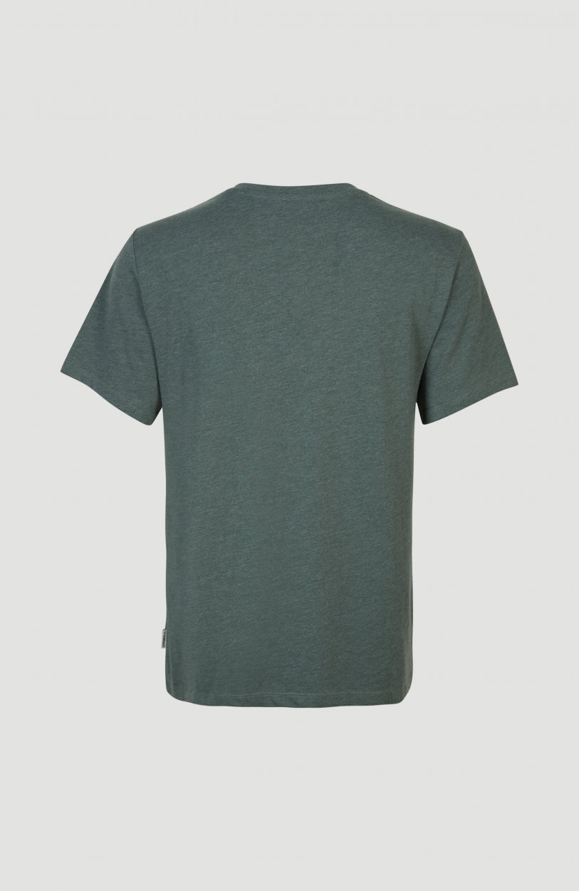 Essentials T-Shirt mit V-Ausschnitt | Balsam Green