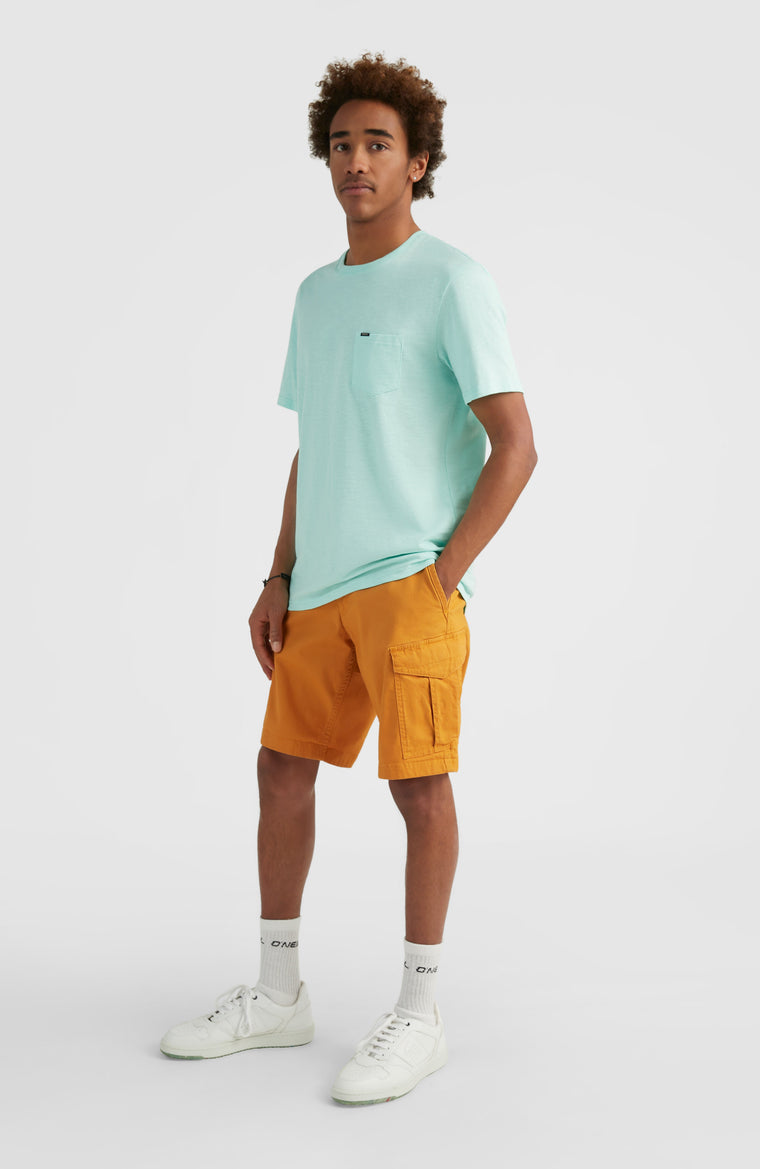 Beach Break Cargo Shorts | Nugget