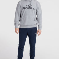 O'Neill Logo Hoodie | Silver Melee