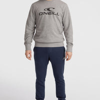 O'Neill Logo Crew Sweatshirt | Silver Melee