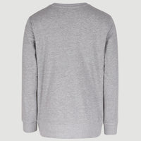 O'Neill Logo Crew Sweatshirt | Silver Melee