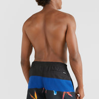 Frame Block Badehose | Blue Multi 6