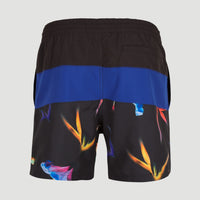 Frame Block Badehose | Blue Multi 6