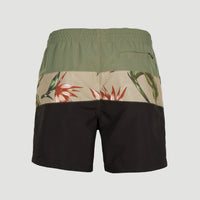 Frame Block Badehose | Green Multi 1