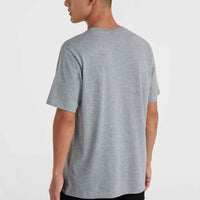 O'Neill T-Shirt mit kleinem Logo | Silver Melee