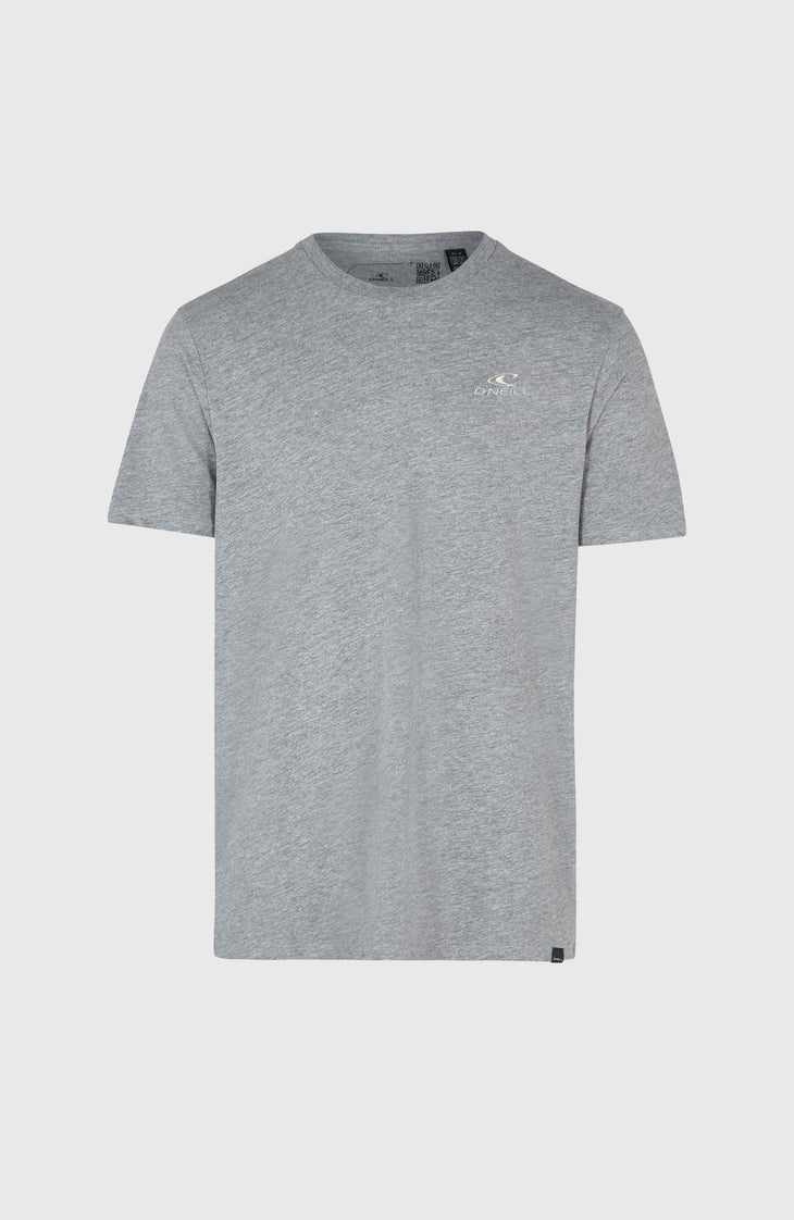 O'Neill Small Logo T-Shirt | Silver Melee