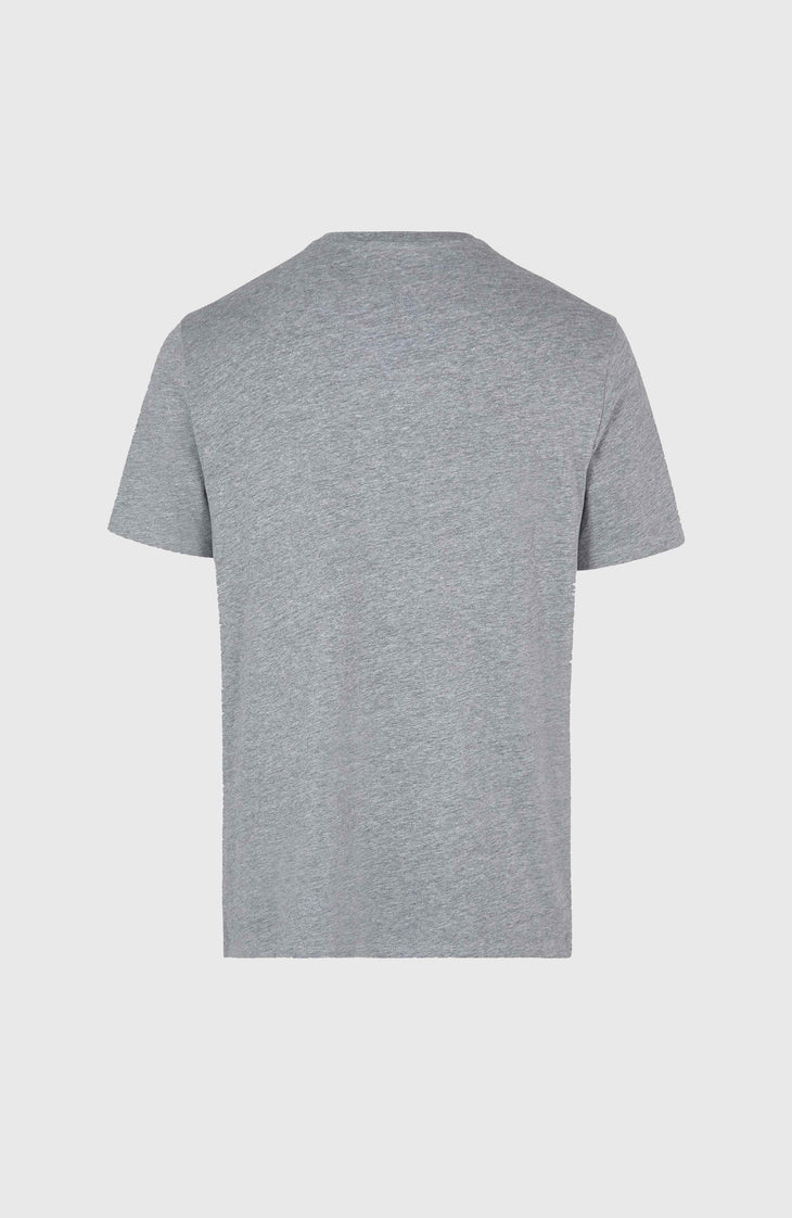 O'Neill Small Logo T-Shirt | Silver Melee