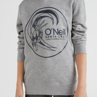 Circle Surfer Kapuzenpullover | Silver Melee