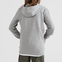 Circle Surfer Kapuzenpullover | Silver Melee