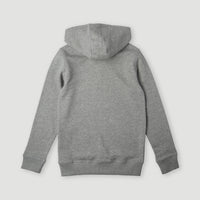 Circle Surfer Kapuzenpullover | Silver Melee