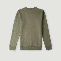 O'Neill Logo Crew Sweatshirt | Deep Lichen Green