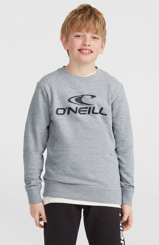 O'Neill Logo Crew Sweatshirt | Silver Melee