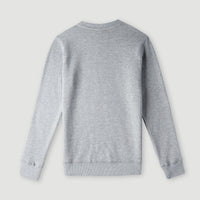 O'Neill Logo Crew Sweatshirt | Silver Melee