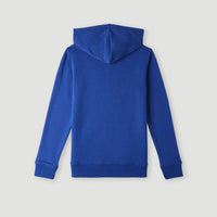 O'Neill Logo Hoodie | Surf the web Blue