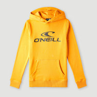 O'Neill Logo Hoodie | Nugget