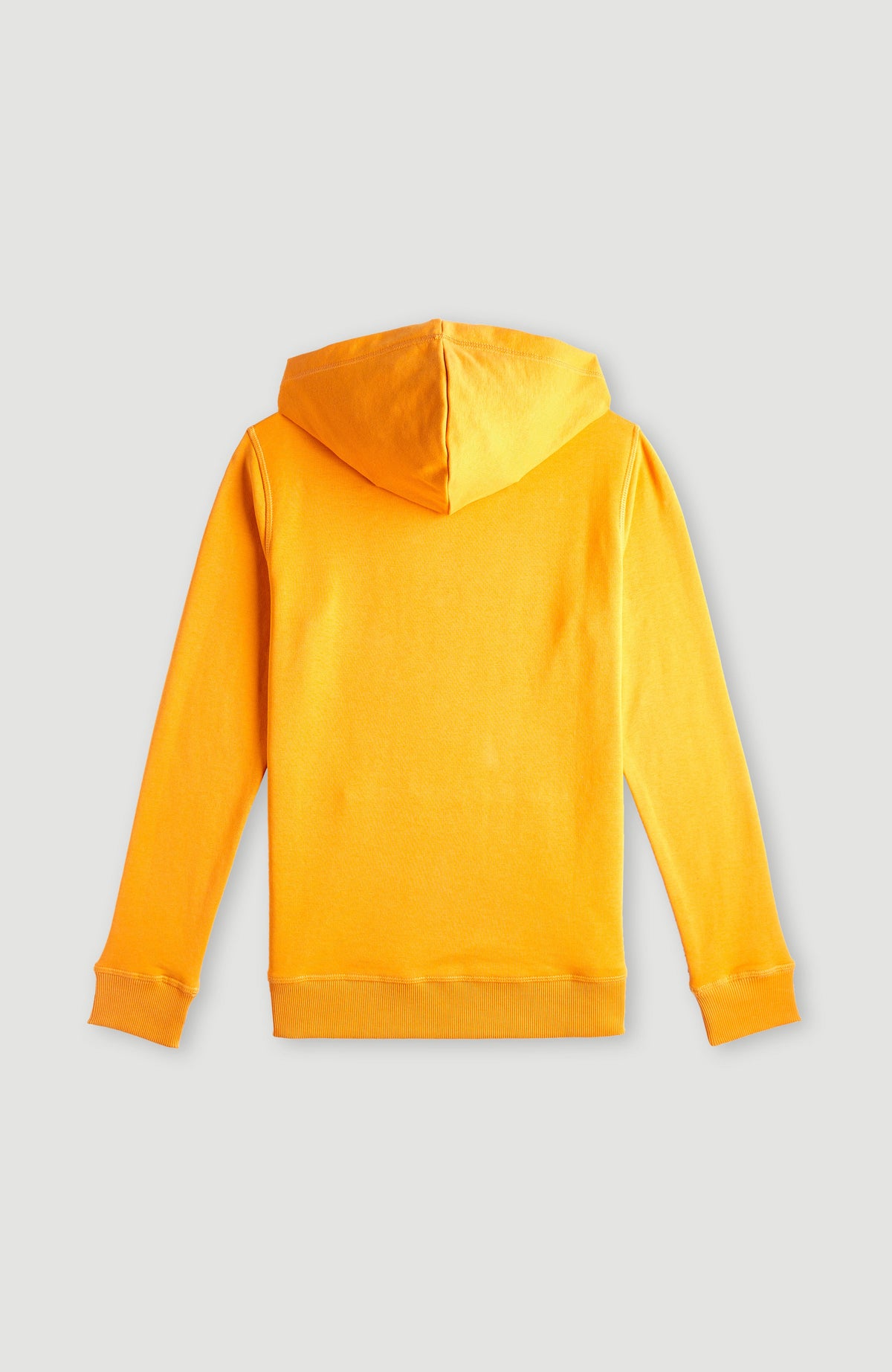 O'Neill Logo Hoodie | Nugget