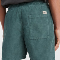 Camorro Cord-Shorts | North Atlantic
