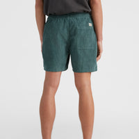 Camorro Cord-Shorts | North Atlantic