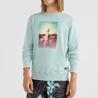 Surfboard Crew Sweatshirt | Aquifer