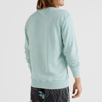 Surfboard Crew Sweatshirt | Aquifer