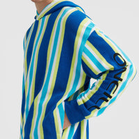 Brights Terry Kapuzenpullover | Blue Towel Stripe