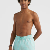 Cali First 15'' Badehose | Light Blue First In