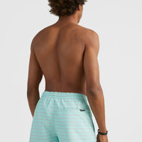 Cali First 15'' Badehose | Light Blue First In