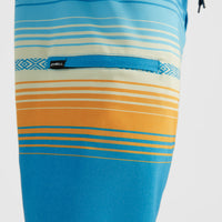 Heat Stripe Line 19'' Boardshorts | Princess Blue