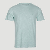 Mini Stripe T-Shirt | Aquifer