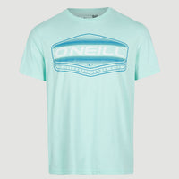 Warnell T-Shirt | Beach Glass