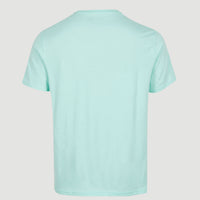 Warnell T-Shirt | Beach Glass