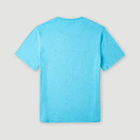 Circle Surfer T-Shirt | Bachelor Button
