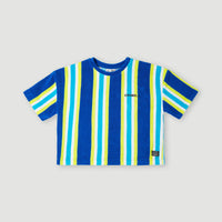 Brights Terry T-Shirt | Blue Towel Stripe