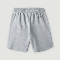 Future Surf Shorts | Silver Melee